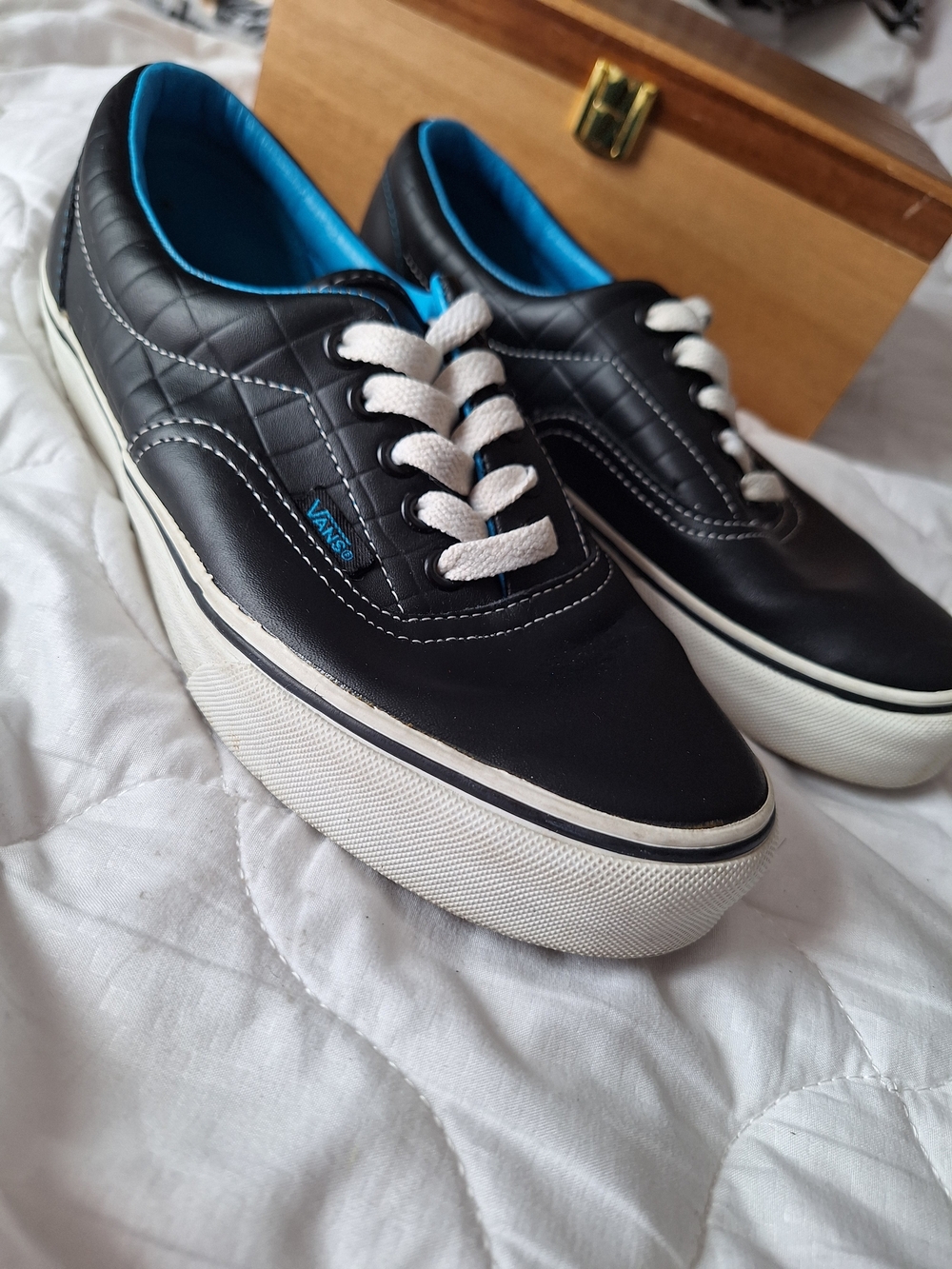 Vans Men’s Black Low-Top Sneakers with Blue Lining